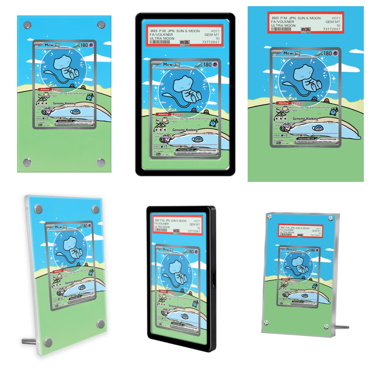 Pantalla de tarjetas de Pokémo - Display Case Acrylic reseña y precio